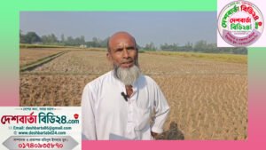 কাজিপুরে ২২ শতক জমির ধান কেটে নেওয়ার অভিযোগ, পাওনা টাকার দাবি অভিযুক্তের